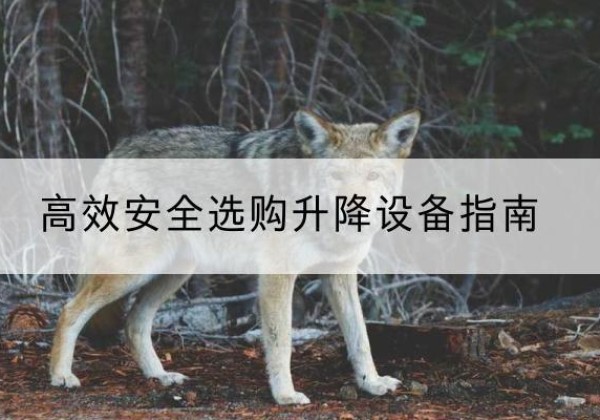 桥西升降货梯厂家推荐-*安全选购升降设备指南