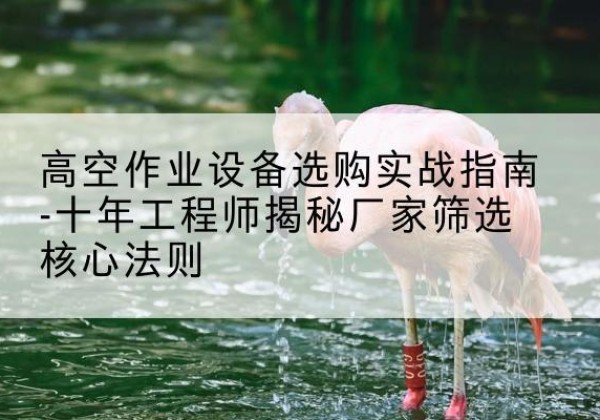 桥西剪叉式升降机厂家-高空作业设备选购实战指南-十年工程师揭秘厂家筛选核心法则